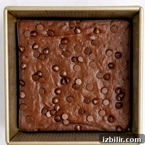 A square baking pan filled with chocolate brownie batter topped with chocolate chips, ready for baking.