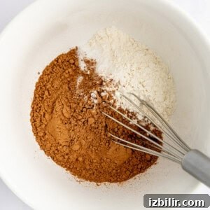 A white bowl with cocoa powder, flour, and baking soda being mixed with a metal whisk.