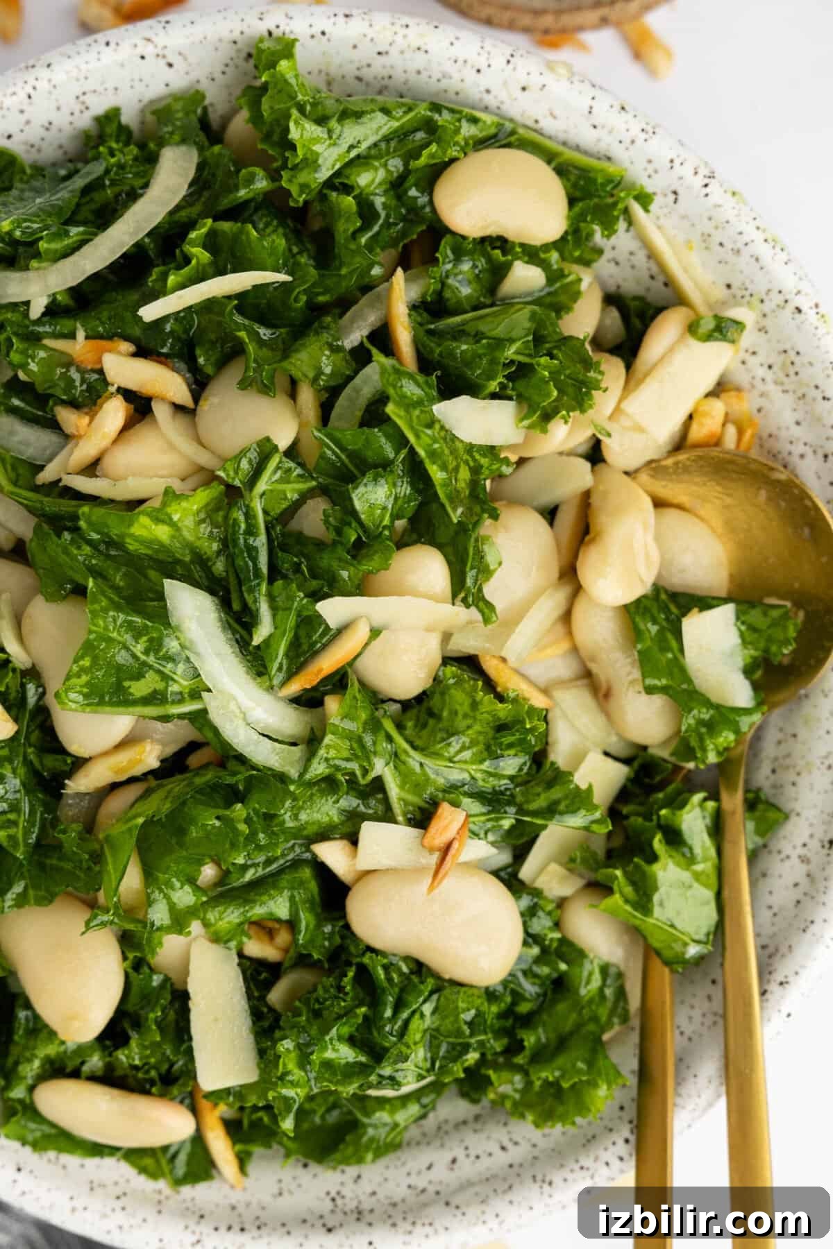 Bowl of kale salad with white beans, sliced onions, slivered almonds, and shaved cheese with a gold fork and spoon.