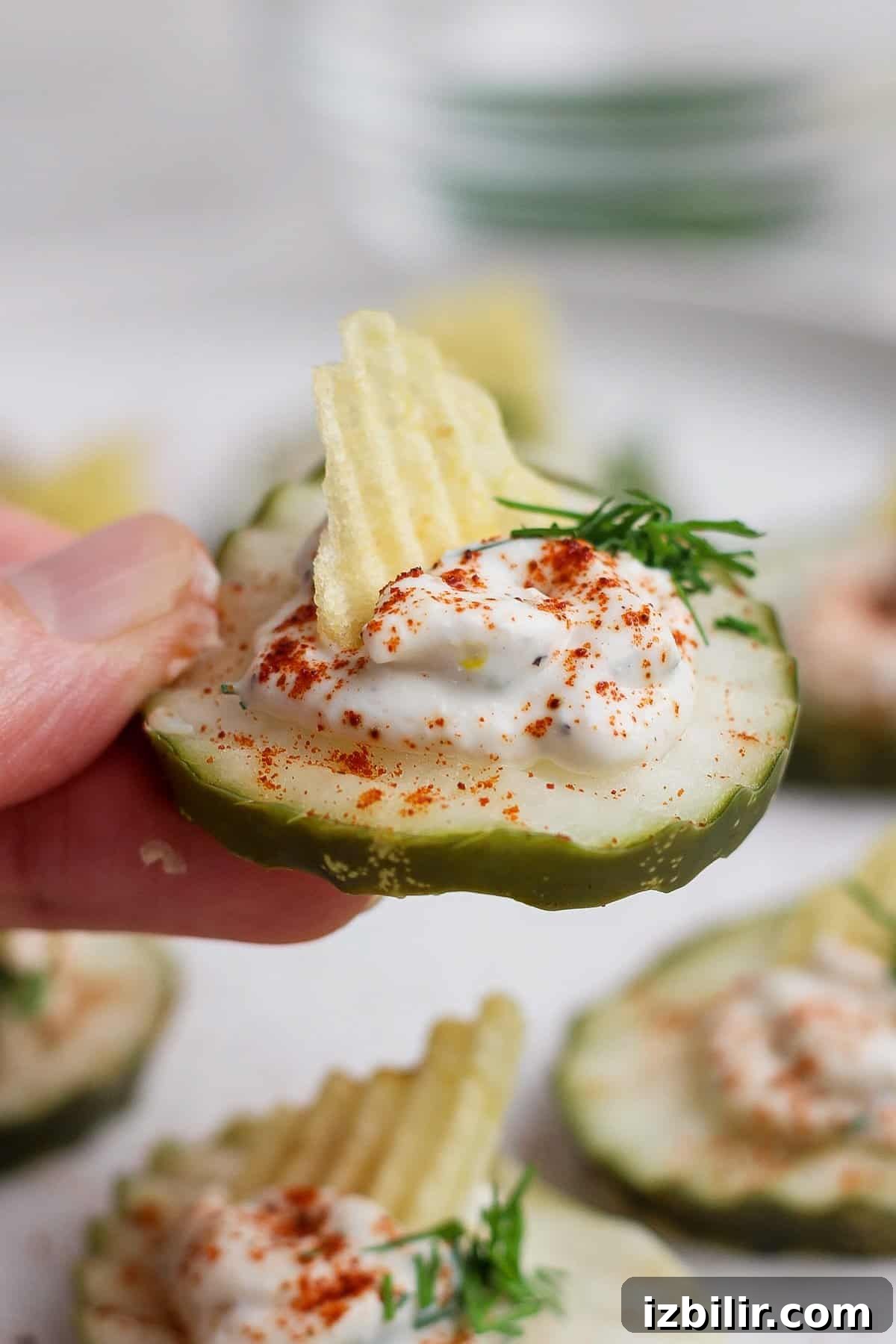 Hand holding a pickle chip topped with cottage cheese filling, paprika, dill and a potato chip shard.