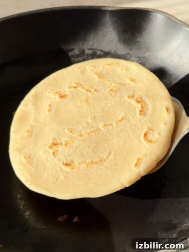 Stack of thick Central American masa harina tortillas