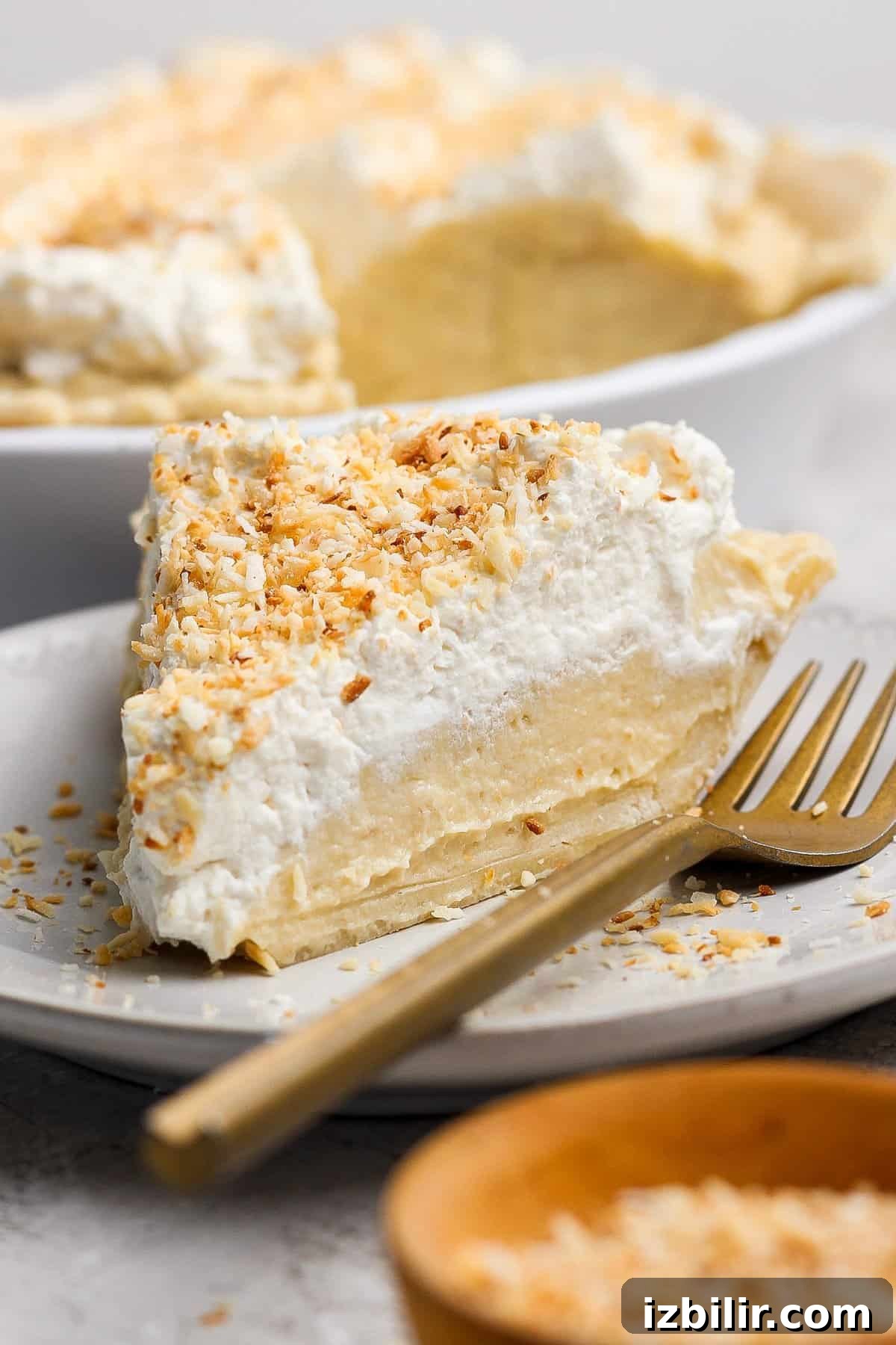 High-Protein Coconut Cream Pie Recipe 3 A slice of coconut cream pie topped with whipped cream and toasted coconut flakes on a plate with a gold fork.