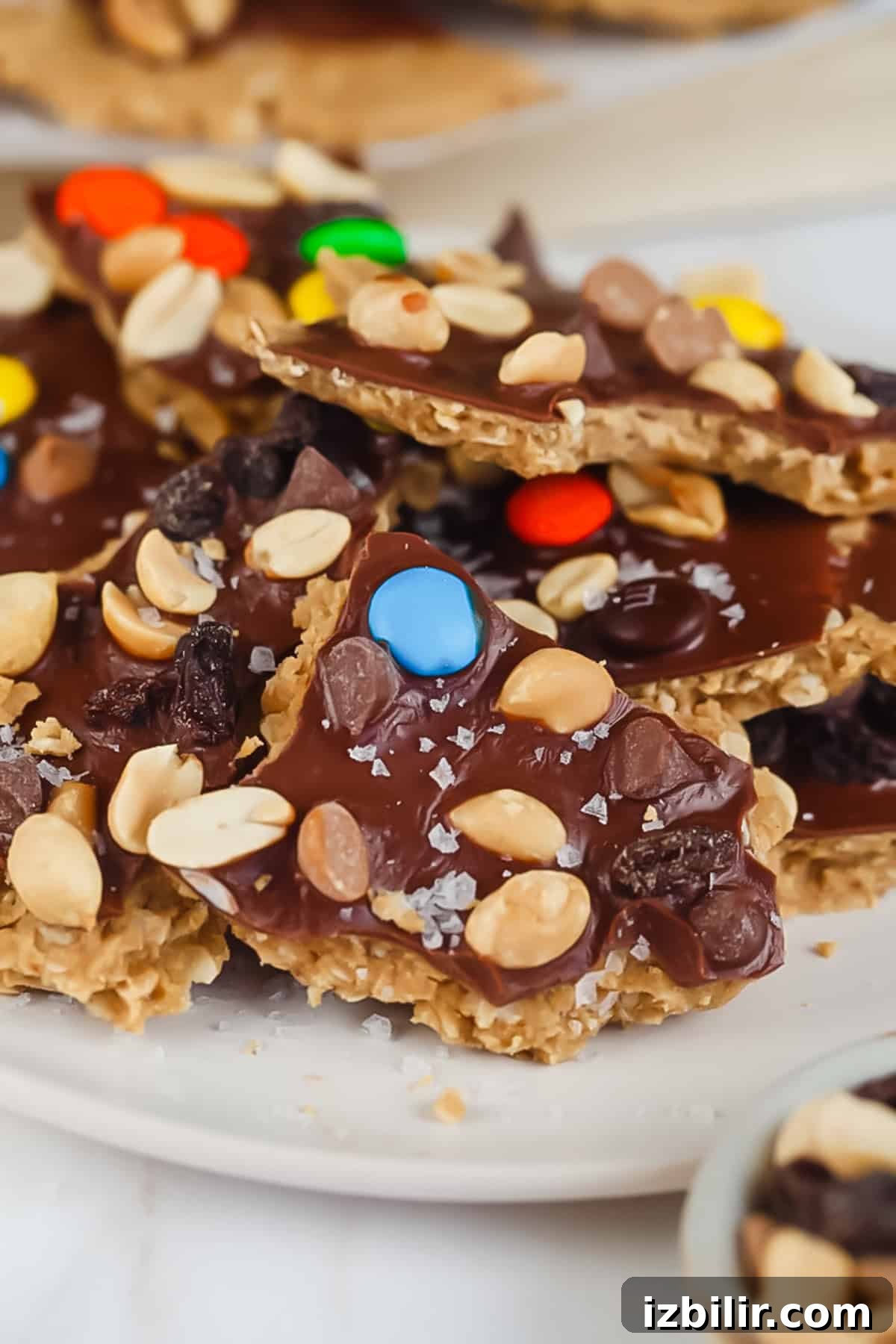 No-Bake Protein Cookie Dough Bark Recipe 2 Pieces of chocolate-covered treats on a plate, topped with peanuts, colorful candy-coated chocolates, and small chocolate chunks.