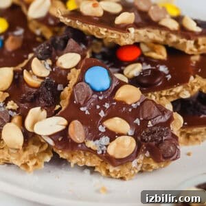 No-Bake Protein Cookie Dough Bark Recipe 5 Pieces of chocolate bark topped with peanuts, colorful candies, raisins, and sea salt on a white plate.