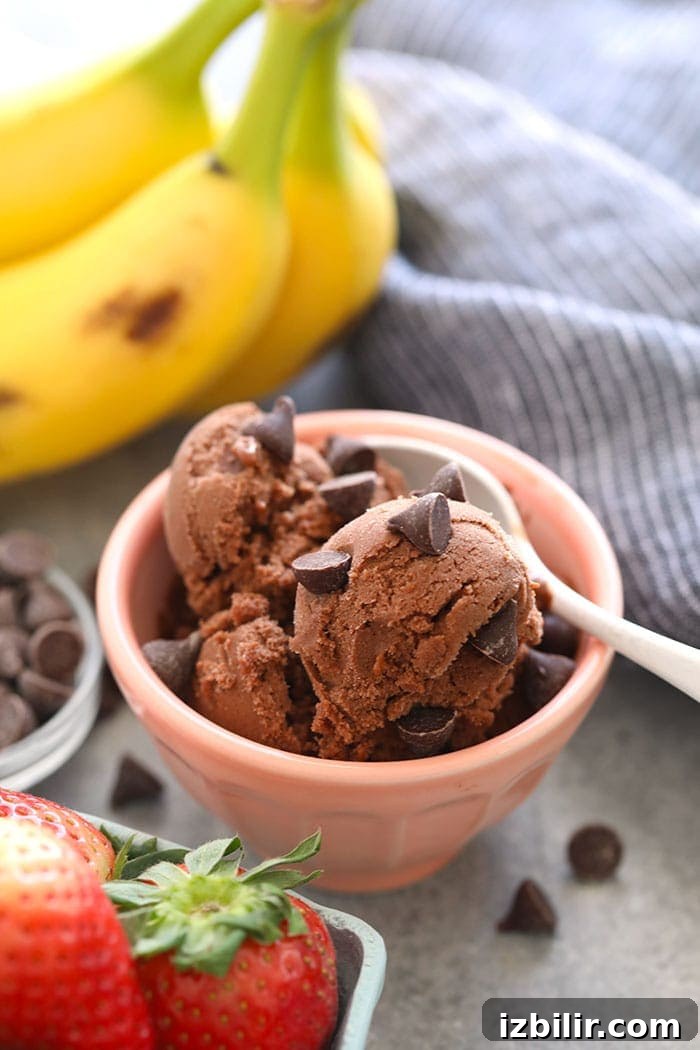 healthy chocolate ice cream in a bowl