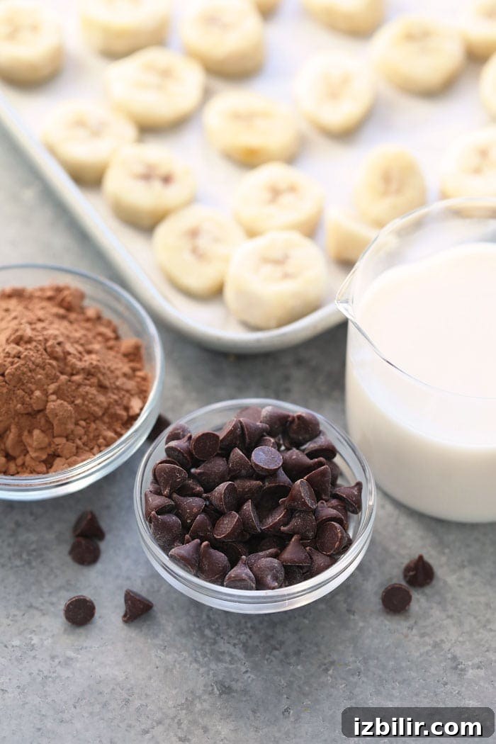 healthy chocolate ice cream ingredients