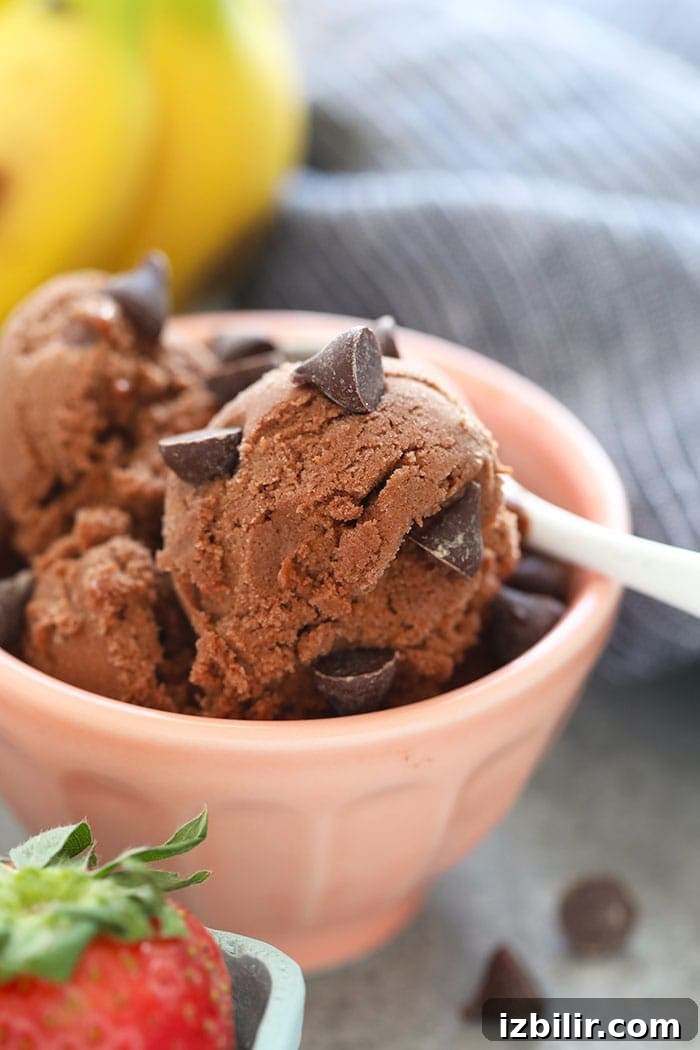 healthy chocolate ice cream in a bowl