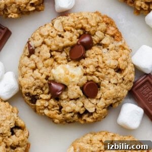 Crunchy Peanut Butter S'mores Cookies Recipe 3 Close-up of an oatmeal cookie with chocolate chips and a marshmallow piece, surrounded by mini marshmallows and chocolate squares.