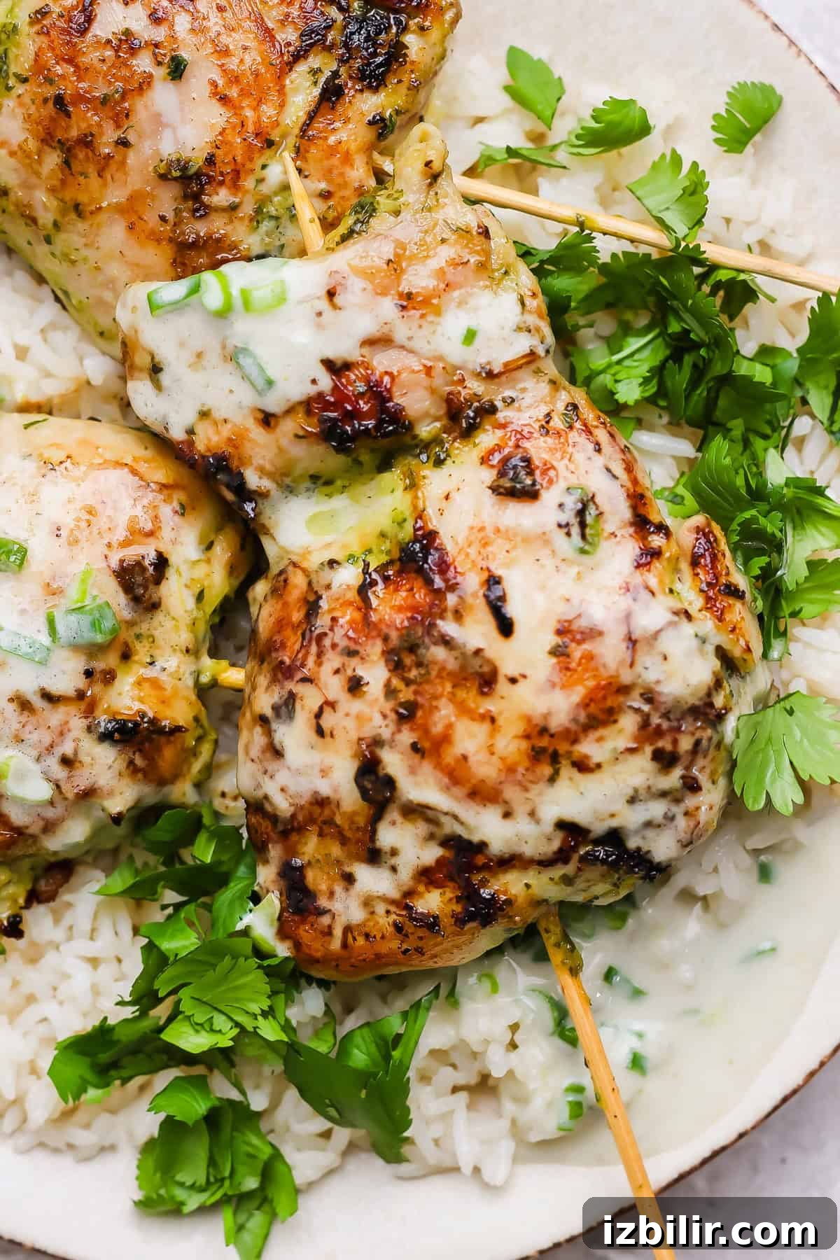 Grilled chicken skewers with a creamy sauce served over white rice and garnished with fresh cilantro.