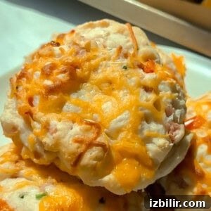 A close-up of cheesy baked biscuits with melted cheddar cheese on top, served on a white plate.