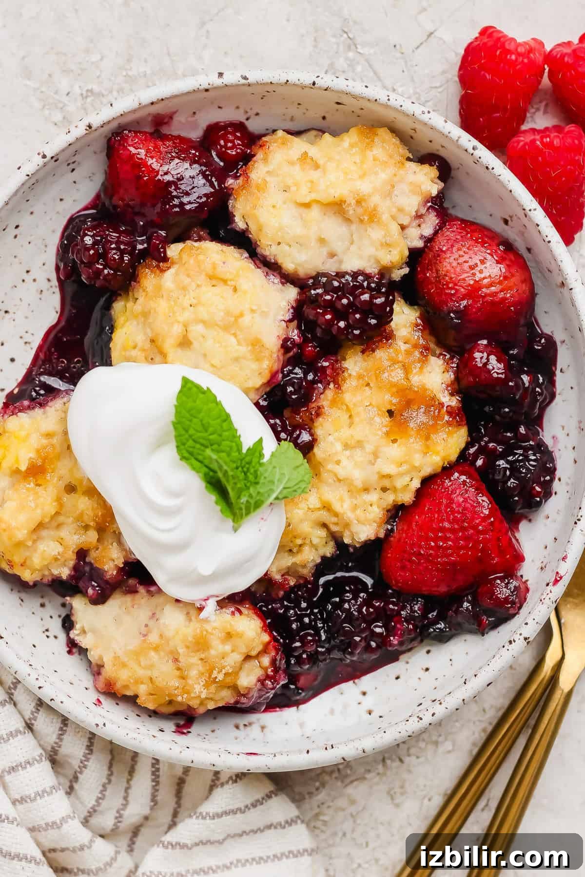 Creamy Cottage Cheese Berry Cobbler Recipe 5 A bowl of mixed berry cobbler topped with whipped cream and a mint leaf, served with fresh strawberries and raspberries on the side.
