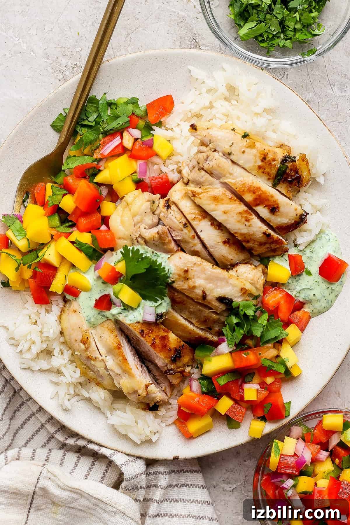 Cilantro Lime Chicken with Mango Salsa A plate of sliced grilled chicken breast served over white rice with chopped mango, red bell pepper, red onion, herbs, and a dollop of green sauce.