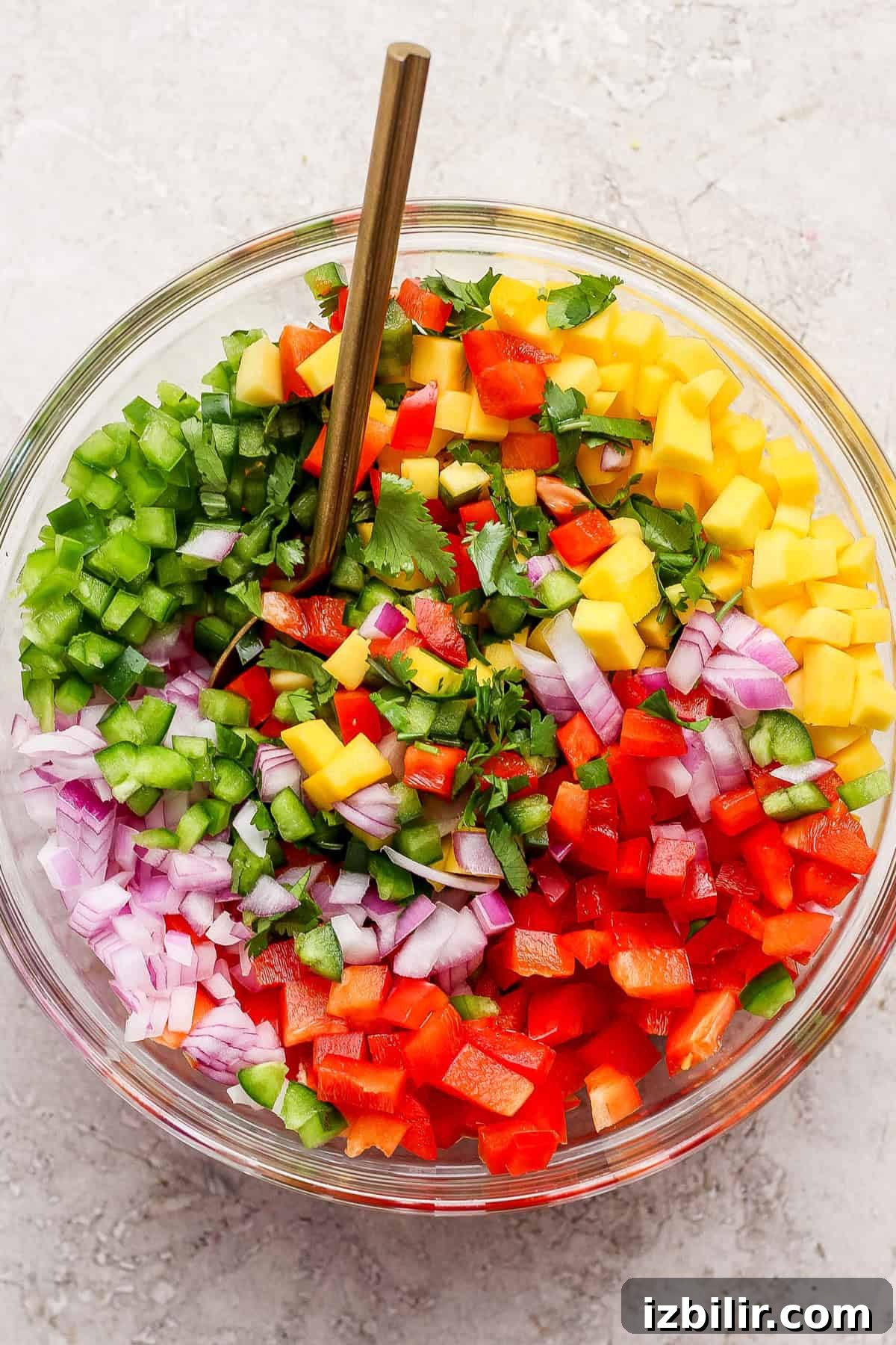 Mango salsa in a glass bowl A glass bowl filled with chopped red onion, red and green bell pepper, mango, jalapeño, and cilantro sits with a gold spoon on a light surface.