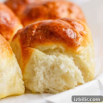 Close-up of freshly baked, golden-brown dinner rolls with a soft, fluffy interior.