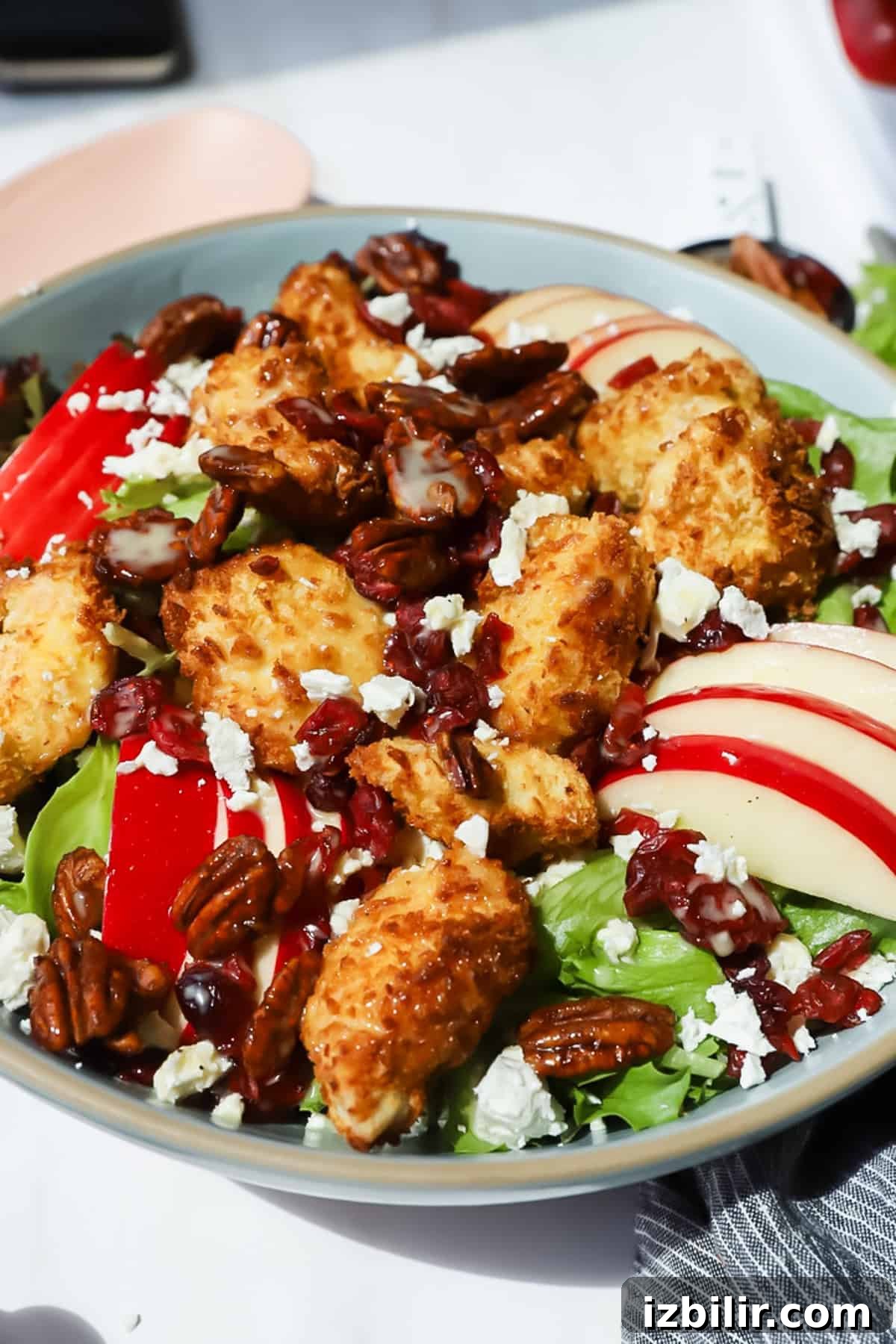 A salad with fried chicken pieces, sliced apples, pecans, dried cranberries, crumbled cheese, and mixed greens in a bowl.