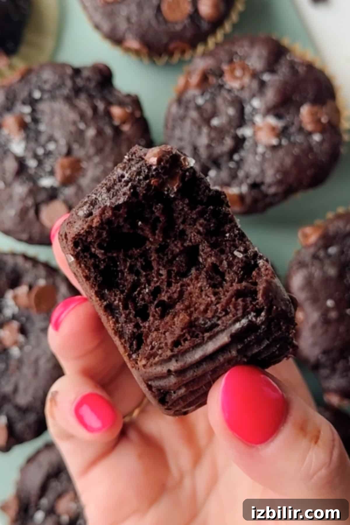 Chocolate Kodiak Protein Muffins Recipe 2 A hand with pink nail polish holds a partially eaten chocolate muffin, with more chocolate muffins visible in the background.