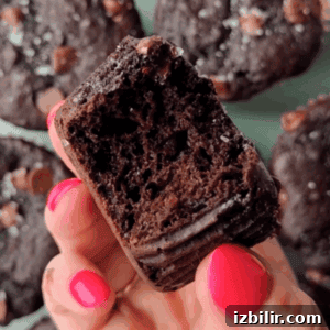Chocolate Kodiak Protein Muffins Recipe 4 A hand with pink nail polish holds a bitten Kodiak protein muffin, revealing its moist, dense interior; more chocolate muffins are blurred in the background.