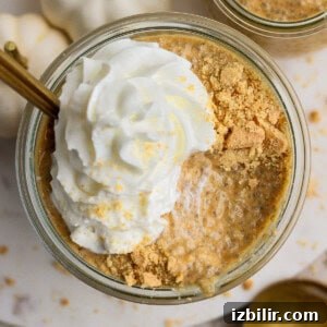 High-Protein Pumpkin Chia Pudding Recipe 9 Glass jar filled with pumpkin chia pudding, topped with whipped cream and crushed graham crackers.
