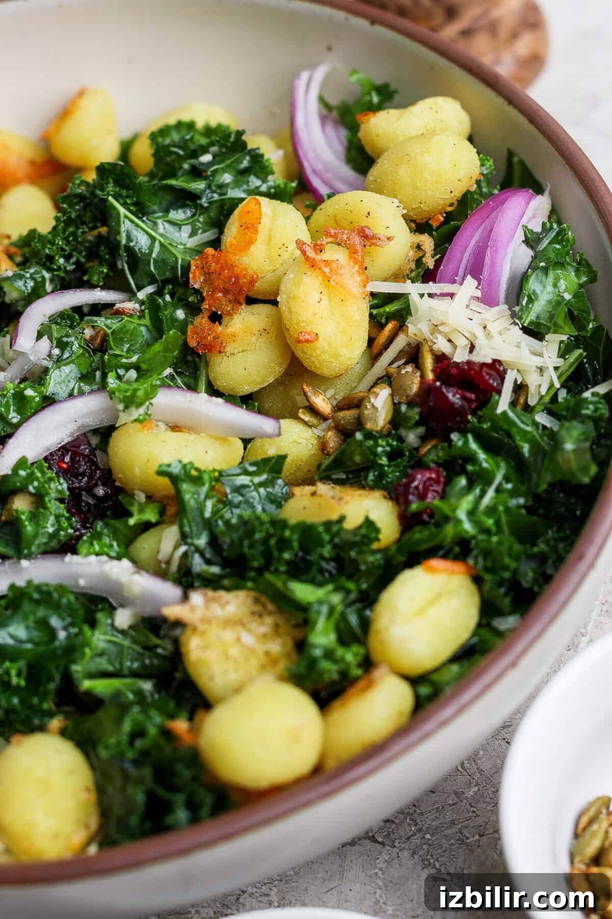 Garlic Parmesan Roasted Gnocchi and Kale Salad Recipe 4 A bowl of kale salad topped with cooked gnocchi, red onion slices, grated cheese, dried cranberries, and seeds.