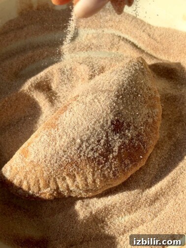 Pineapple Empanada