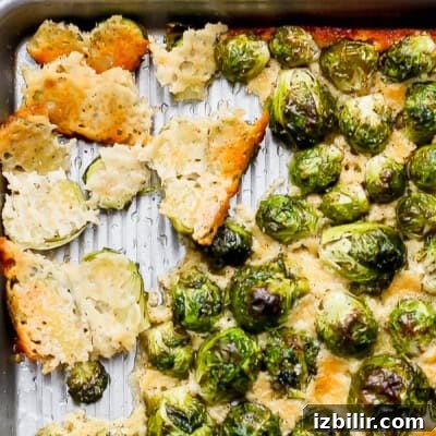 Thanksgiving Sides Worth Serving (Everything But Turkey) 17 Sheet pan with roasted Brussels sprouts and melted, golden brown cheese.
