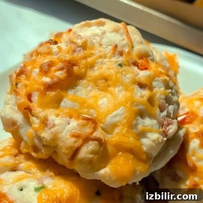 Thanksgiving Sides Worth Serving (Everything But Turkey) 31 Cheesy baked biscuits with melted cheddar cheese on top