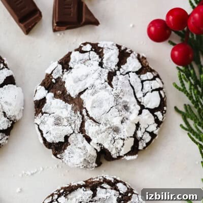 Chewy chocolate crinkle cookies.