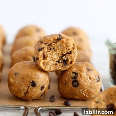 protein balls on rack