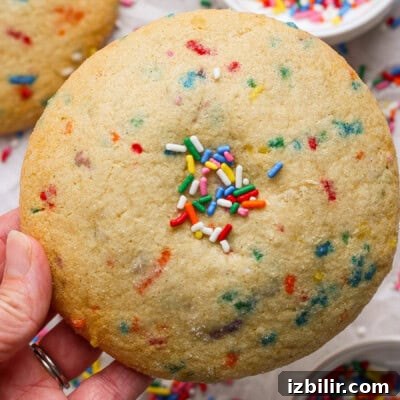 A hand holds a large round sugar cookie with colorful sprinkles mixed in and a small cluster of sprinkles on top.