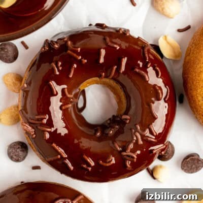 A chocolate-glazed donut with chocolate sprinkles, surrounded by chocolate chips and peanuts on a white surface.
