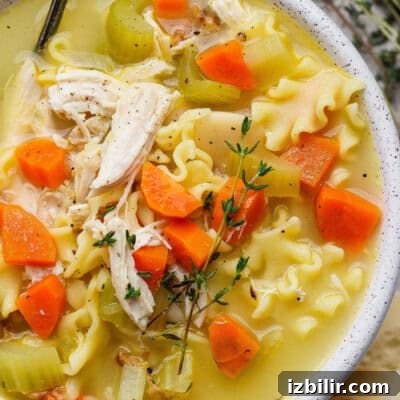 Close-up of creamy chicken noodle soup with shredded chicken and vegetables