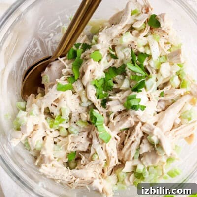 Bowl of shredded chicken salad garnished with green onions and herbs