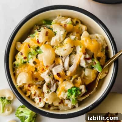 Mac and cheese with broccoli and chicken, topped with melted cheddar
