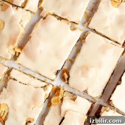 Top view of frosted protein pop tarts laid out in a grid pattern on a white surface.