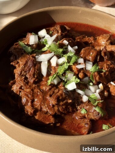 Beef Birria
