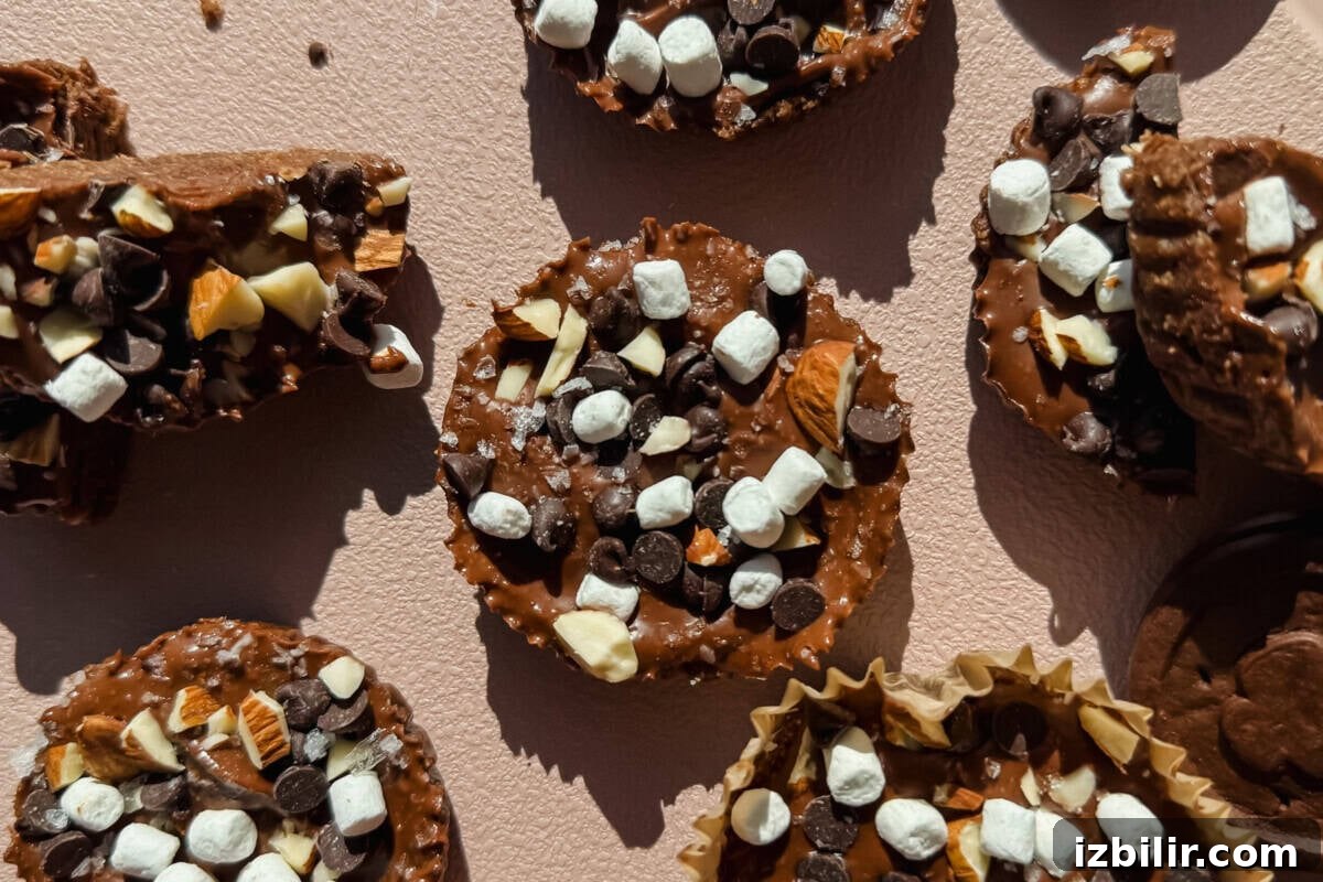 Exploremore Oat Cups: Creamy On-the-Go Oatmeal 2 Chocolate treats topped with mini marshmallows, chocolate chips, and chopped nuts are arranged on a light textured surface.