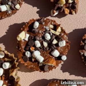 Exploremore Oat Cups: Creamy On-the-Go Oatmeal 4 Close-up of a chocolate dessert cup topped with mini marshmallows, chocolate chips, and chopped nuts on a pink textured surface.