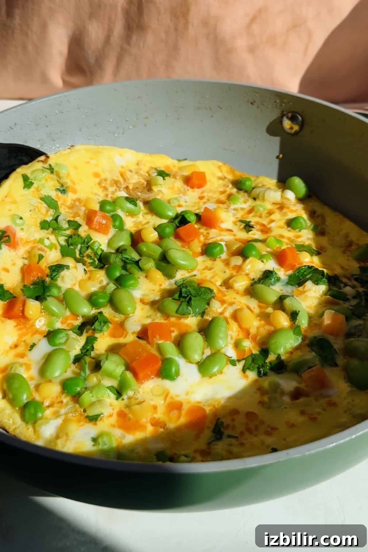 Crispy Fried Rice Omelette Recipe 3 Omelette in a pan topped with chopped carrots, edamame, corn, and fresh herbs, shown in natural sunlight.