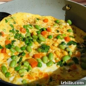 Crispy Fried Rice Omelette Recipe 5 Omelette in a pan topped with chopped carrots, edamame, corn, and fresh herbs, shown in natural sunlight.