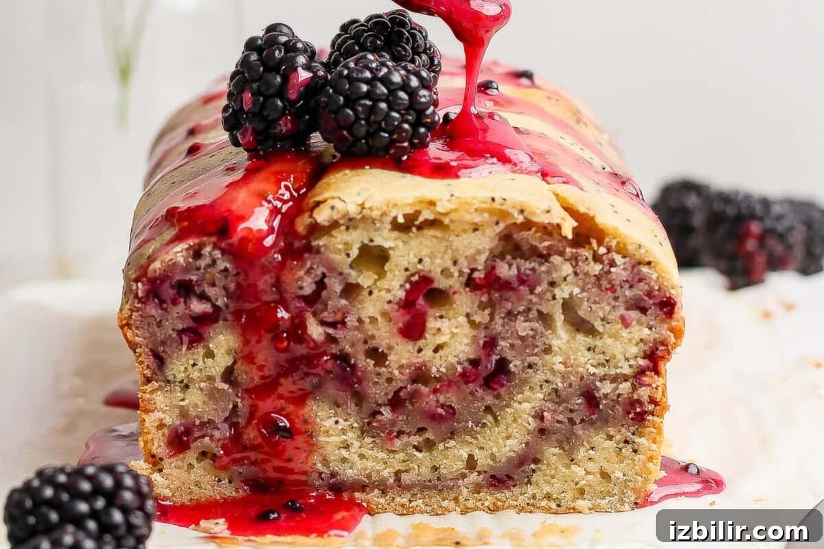 Glazed Blackberry Lemon Poppy Seed Loaf Recipe 2 A loaf of blackberry bread topped with blackberries and a drizzle of blackberry sauce.