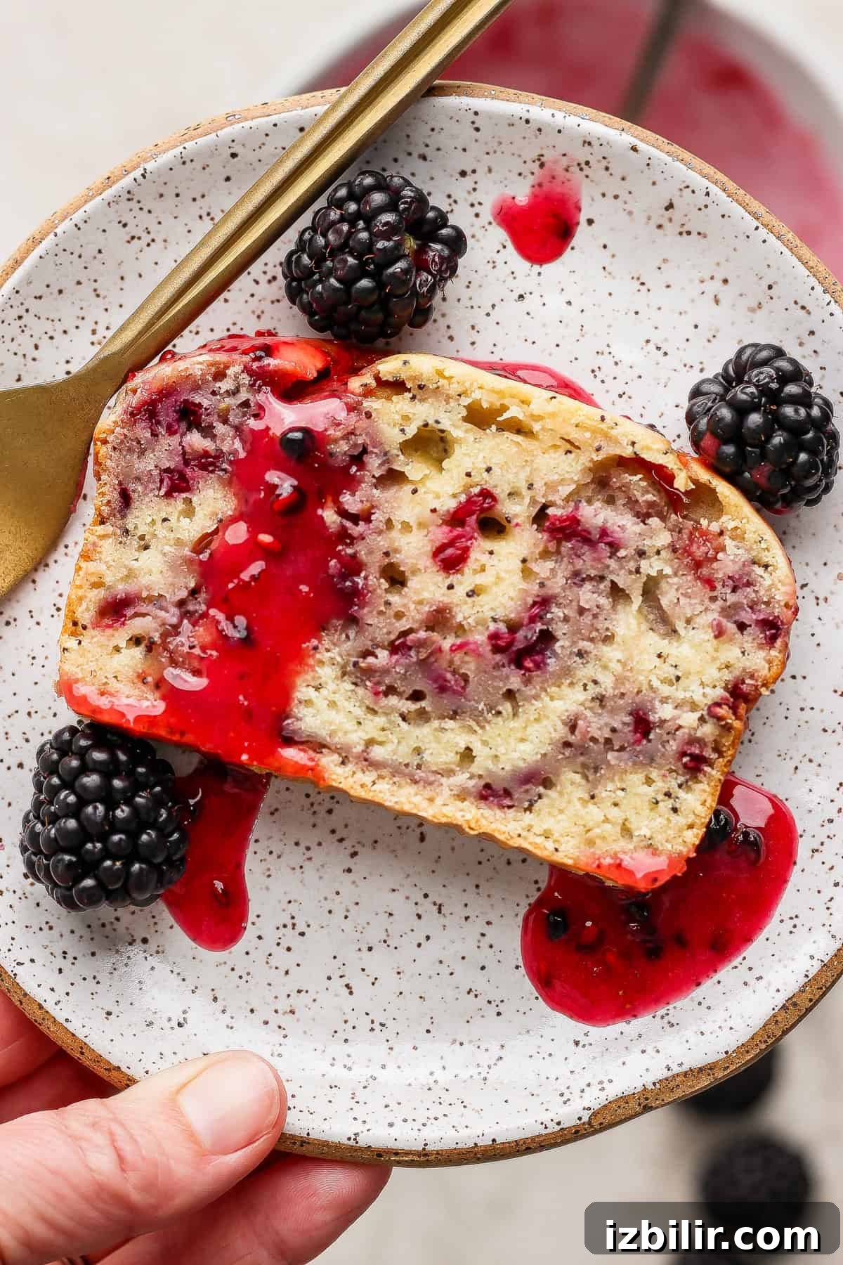 Glazed Blackberry Lemon Poppy Seed Loaf Recipe 6 A slice of berry loaf cake with berry sauce and fresh blackberries on a speckled plate, with a gold fork beside it.