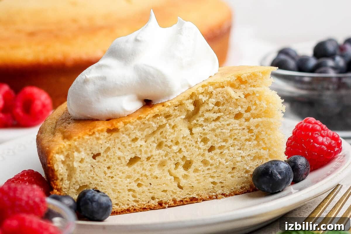 A slice of plain yellow cake topped with whipped cream, served on a plate with raspberries and blueberries.