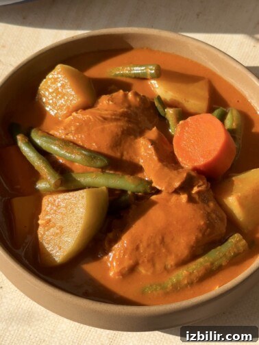 Bowl of Guatemalan Pepián with chicken and vegetables
