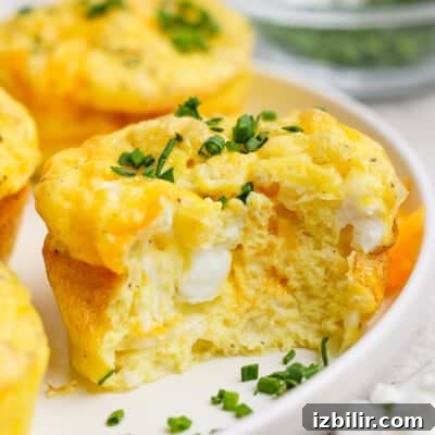 10 High-Protein Spring Recipes to Refresh Your Menu 9 A baked egg muffin with a bite taken out, showing a fluffy texture and cheese inside, topped with chopped green onions on a white plate.
