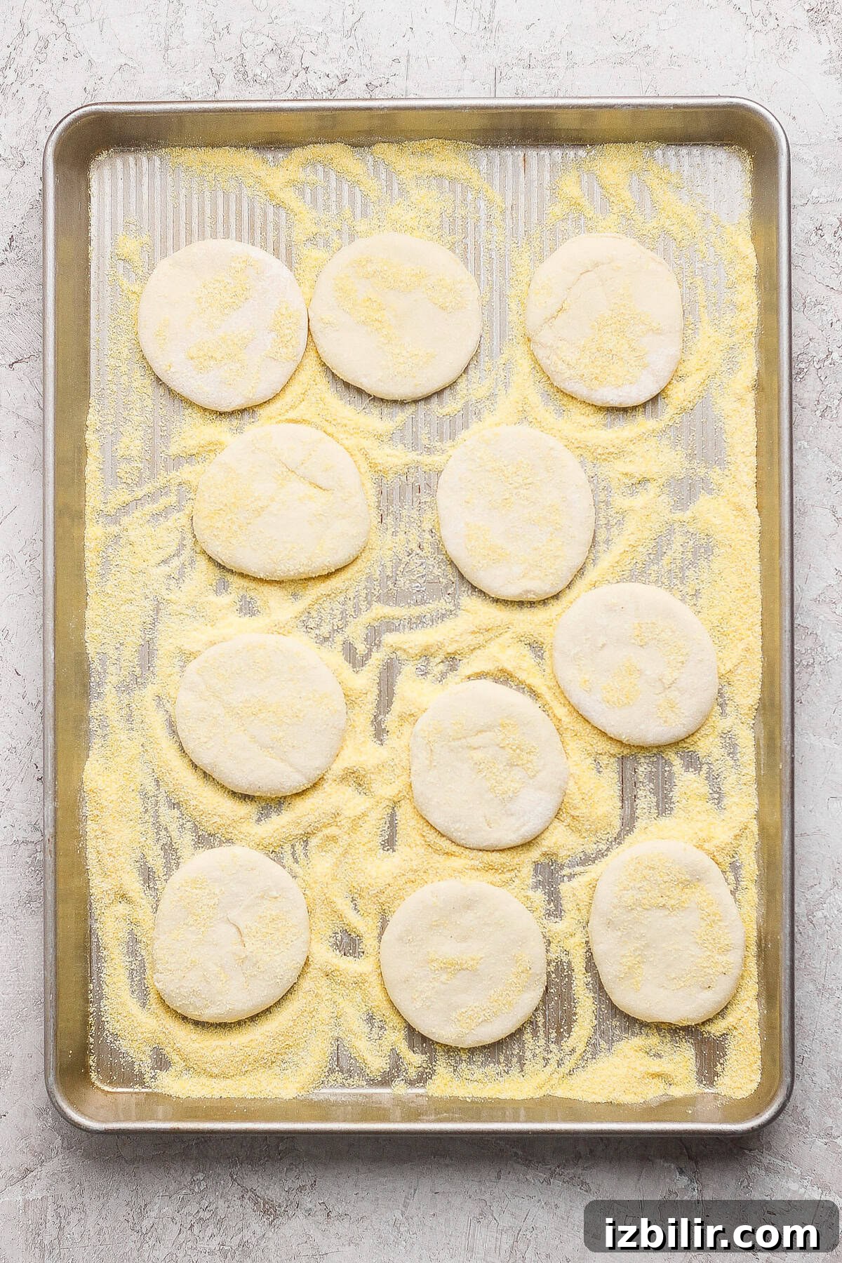 A baking sheet with round, uncooked dough pieces on a layer of cornmeal, ready to be cooked.
