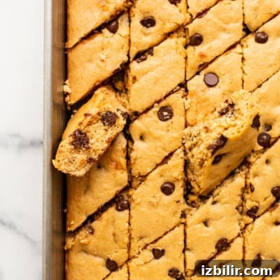bars in dish.