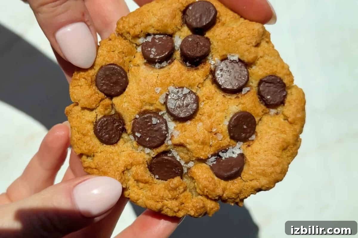 A close-up of hands holding a chocolate chip cookie with visible sea salt flakes on top.