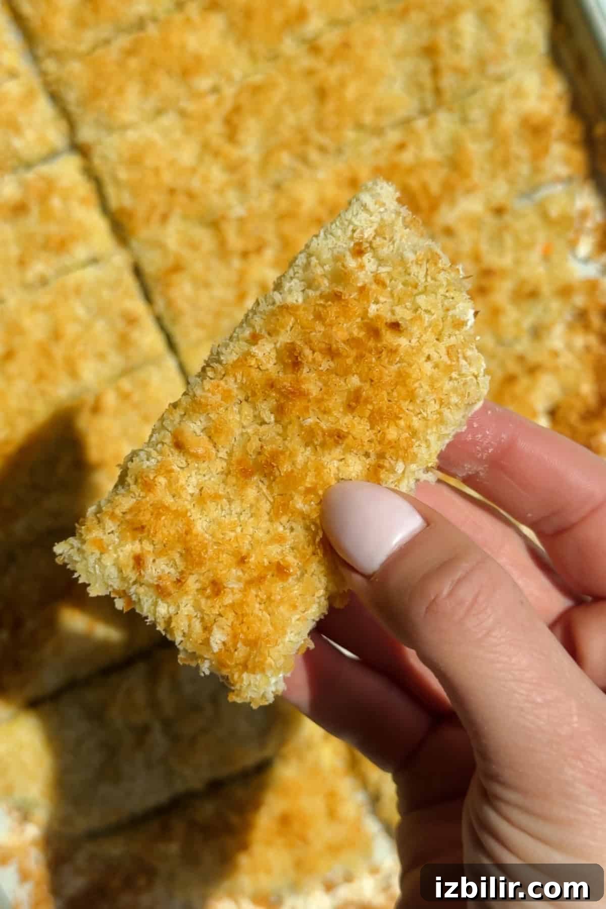 Baked chicken protein bars with crispy golden panko crust on a serving tray