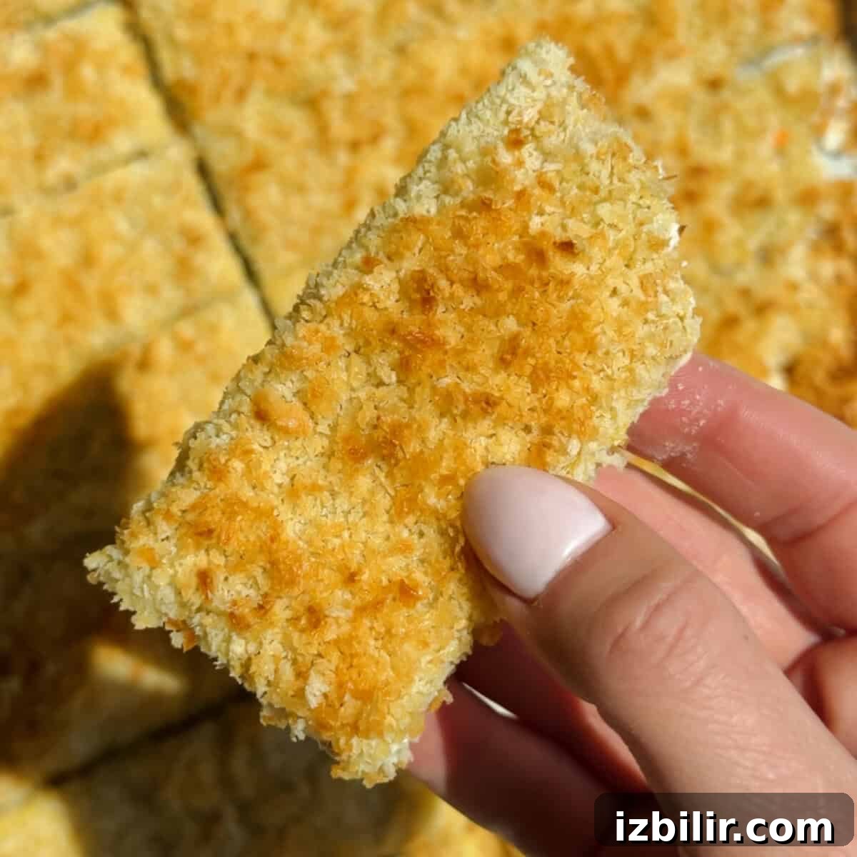 Holding a golden brown chicken protein bar with crispy panko and parmesan crust