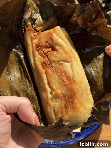 Plate of Salvadoran chicken tamales wrapped in banana leaves